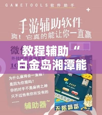 教程辅助“白金岛湘潭能开挂吗”开挂辅助脚本+详细开挂安装教程