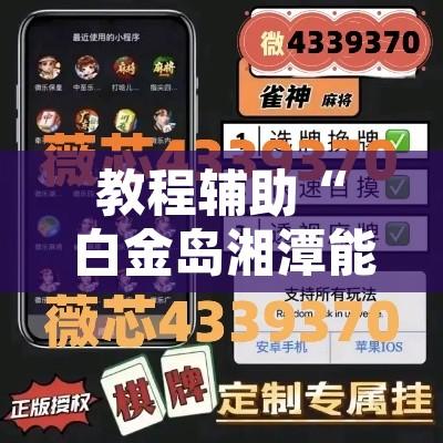 教程辅助“白金岛湘潭能开挂吗”开挂辅助脚本+详细开挂安装教程