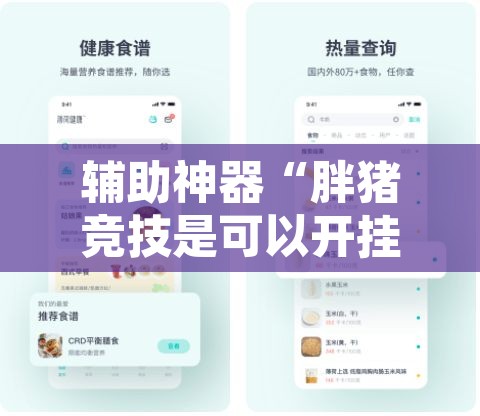 辅助神器“胖猪竞技是可以开挂”开挂辅助脚本+详细开挂安装教程