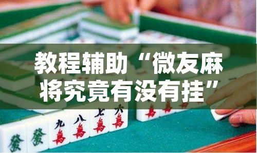 教程辅助“微友麻将究竟有没有挂”开挂辅助脚本+详细开挂安装教程