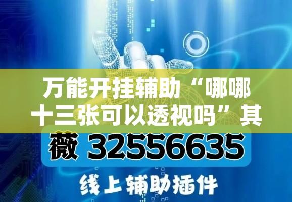 万能开挂辅助“哪哪十三张可以透视吗”其实确实有挂