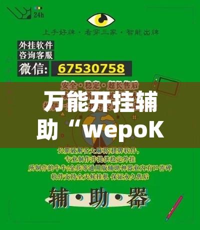 万能开挂辅助“wepoKer开挂透视辅助”开挂辅助脚本+详细开挂安装教程