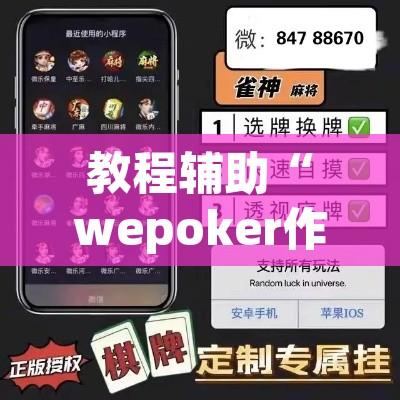 教程辅助“wepoker作弊开挂方法作弊”附辅助神器开挂脚本详细步骤