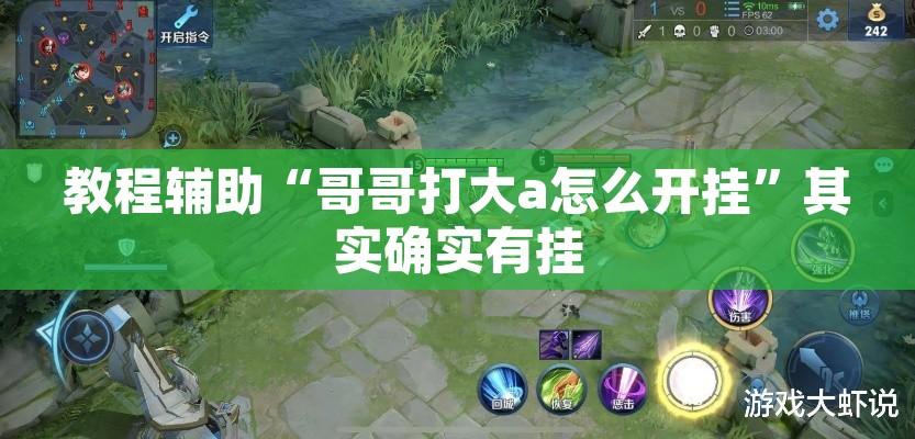教程辅助“哥哥打大a怎么开挂”其实确实有挂