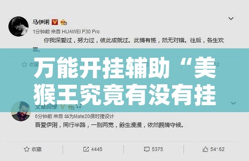 万能开挂辅助“美猴王究竟有没有挂”开挂辅助脚本+详细开挂安装教程