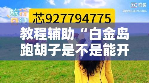 教程辅助“白金岛跑胡子是不是能开挂”其实确实有挂