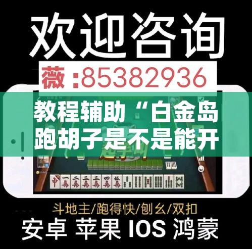 教程辅助“白金岛跑胡子是不是能开挂”其实确实有挂