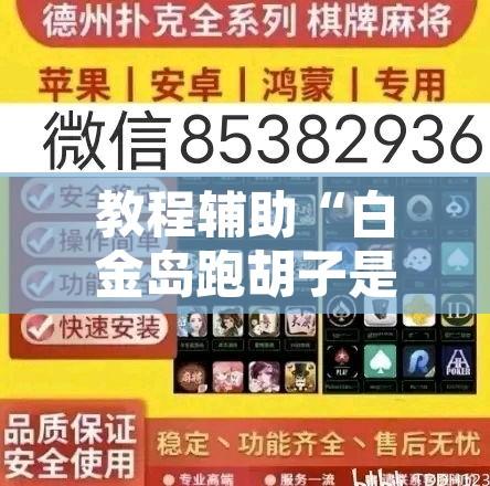 教程辅助“白金岛跑胡子是不是能开挂”其实确实有挂