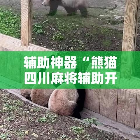 辅助神器“熊猫四川麻将辅助开挂神器	”开挂辅助脚本+详细开挂安装教程
