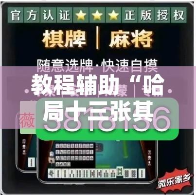 教程辅助“哈局十三张其实可以开挂”其实确实有挂