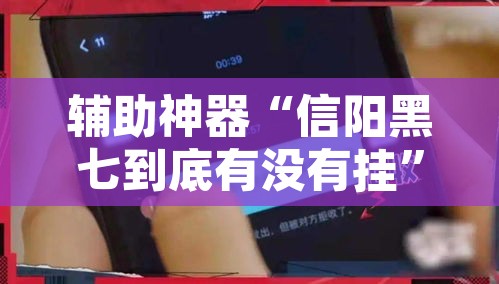 辅助神器“信阳黑七到底有没有挂”其实确实有挂