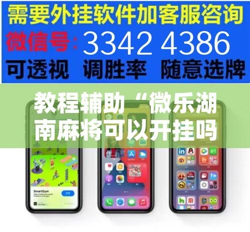 教程辅助“微乐湖南麻将可以开挂吗”附辅助神器开挂脚本详细步骤