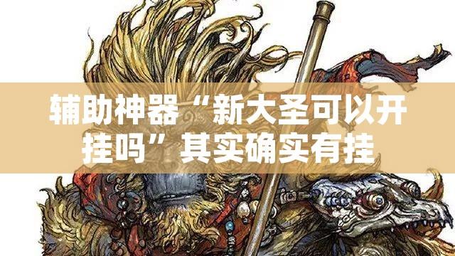 辅助神器“新大圣可以开挂吗”其实确实有挂