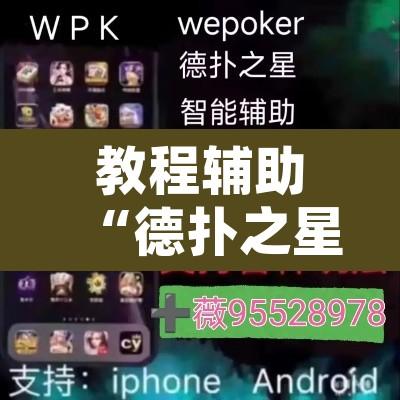 教程辅助“德扑之星作弊透视软件”开挂辅助脚本+详细开挂安装教程