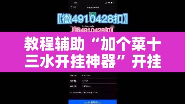 教程辅助“加个菜十三水开挂神器	”开挂辅助脚本+详细开挂安装教程