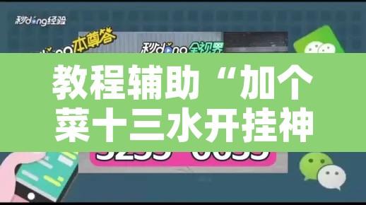 教程辅助“加个菜十三水开挂神器”开挂辅助脚本+详细开挂安装教程