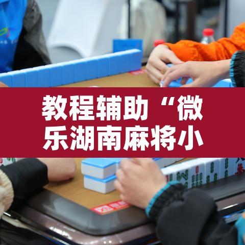 教程辅助“微乐湖南麻将小程序必赢神器免费”其实确实有挂