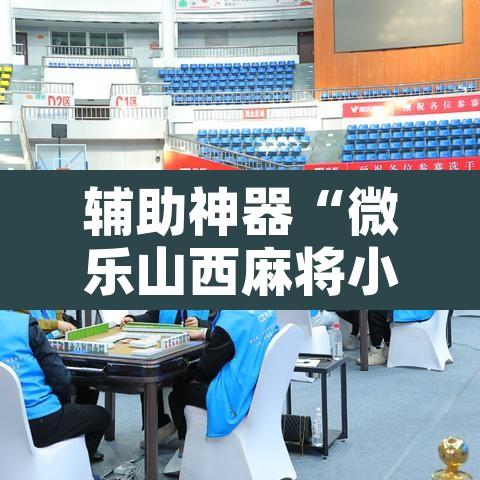 辅助神器“微乐山西麻将小程序挂”附辅助神器开挂脚本详细步骤
