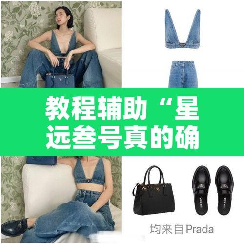 教程辅助“星远叁号真的确实有挂”其实确实有挂