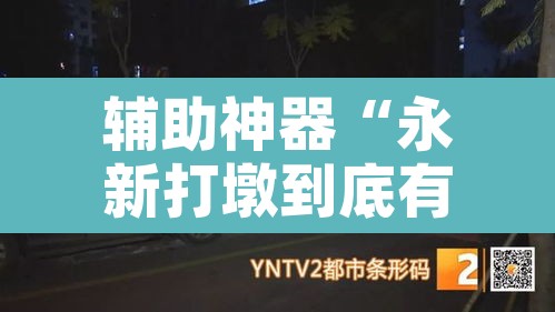辅助神器“永新打墩到底有挂吗”其实确实有挂