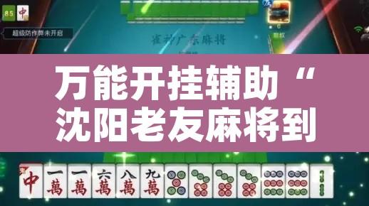 万能开挂辅助“沈阳老友麻将到底有没有挂”其实确实有挂