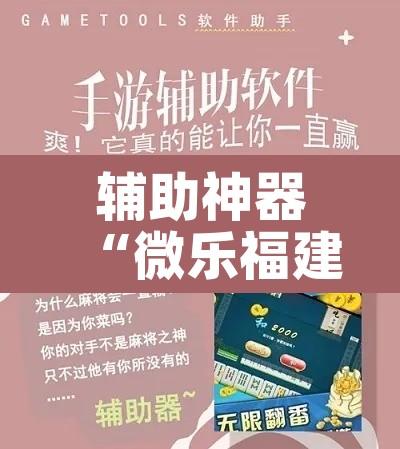 辅助神器“微乐福建麻将万能开挂器通用版	”其实确实有挂