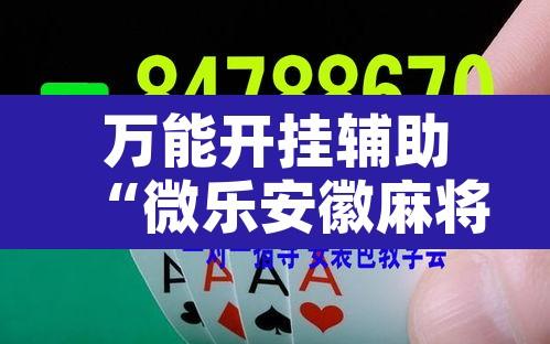 万能开挂辅助“微乐安徽麻将万能开挂器”开挂辅助脚本+详细开挂安装教程