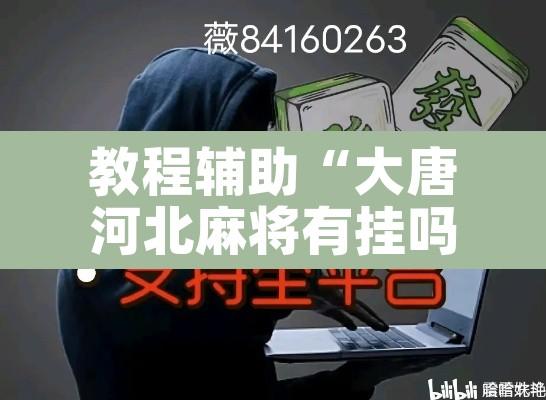 教程辅助“大唐河北麻将有挂吗”其实确实有挂