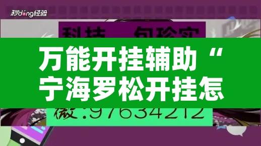 万能开挂辅助“宁海罗松开挂怎么开	”附辅助神器开挂脚本详细步骤