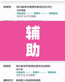 辅助神器“爱来掌中宝确实真的有挂”开挂辅助脚本+详细开挂安装教程