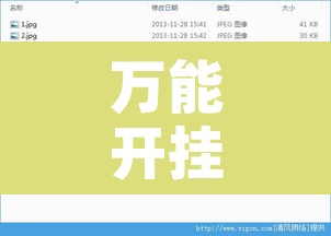 万能开挂辅助“非常竞技可以用挂吗”开挂辅助脚本+详细开挂安装教程