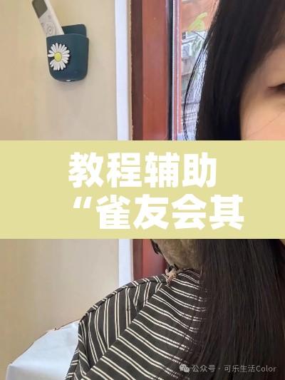 教程辅助“雀友会其实有挂是吗”其实确实有挂