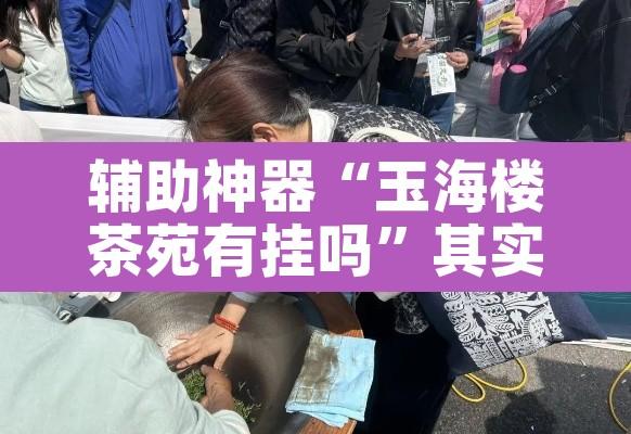 辅助神器“玉海楼茶苑有挂吗”其实确实有挂