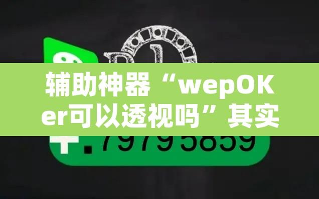 辅助神器“wepOKer可以透视吗”其实确实有挂