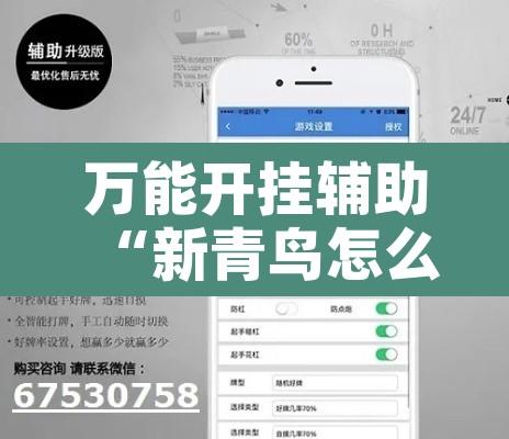 万能开挂辅助“新青鸟怎么装挂”开挂辅助脚本+详细开挂安装教程
