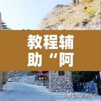 教程辅助“阿坝斗十四开挂神器”其实确实有挂