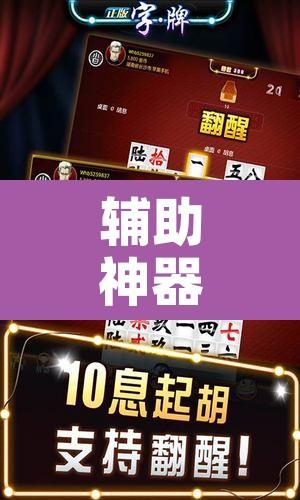 辅助神器“广西八一字牌辅助神器”开挂辅助脚本+详细开挂安装教程