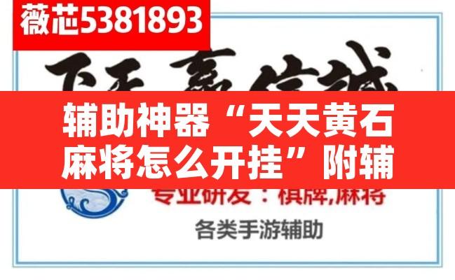 辅助神器“天天黄石麻将怎么开挂”附辅助神器开挂脚本详细步骤
