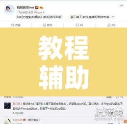 教程辅助“洋洋挖花确实有挂	”开挂辅助脚本+详细开挂安装教程