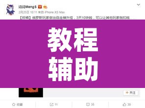 教程辅助“洋洋挖花确实有挂”开挂辅助脚本+详细开挂安装教程