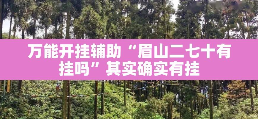 万能开挂辅助“眉山二七十有挂吗”其实确实有挂