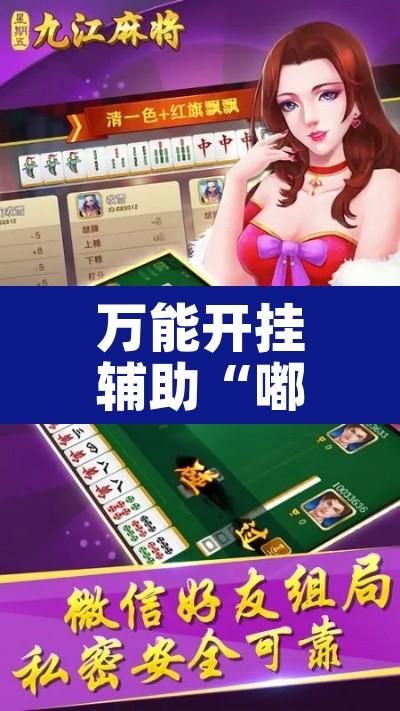 万能开挂辅助“嘟嘟十三张挂图解安装”其实确实有挂