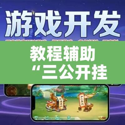 教程辅助“三公开挂神器软件下载”其实确实有挂