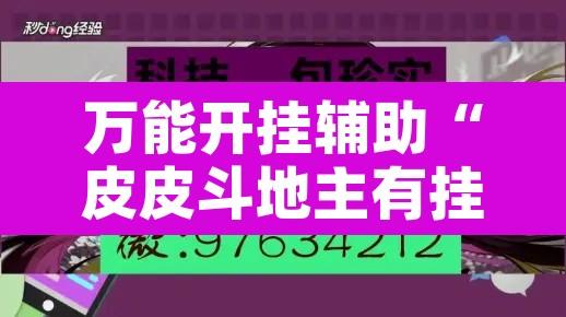 万能开挂辅助“皮皮斗地主有挂吗”开挂辅助脚本+详细开挂安装教程
