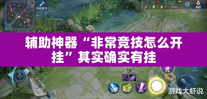 辅助神器“非常竞技怎么开挂”其实确实有挂