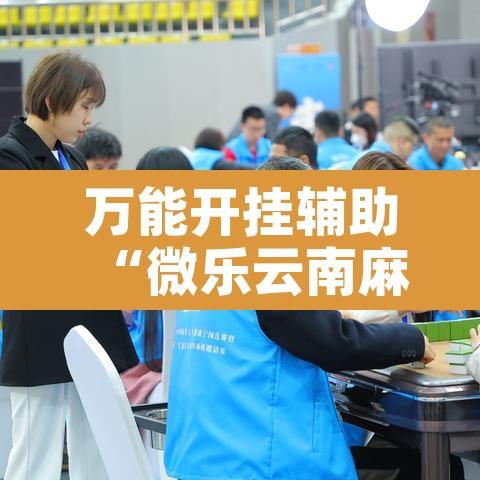 万能开挂辅助“微乐云南麻将万能开挂器”开挂辅助脚本+详细开挂安装教程
