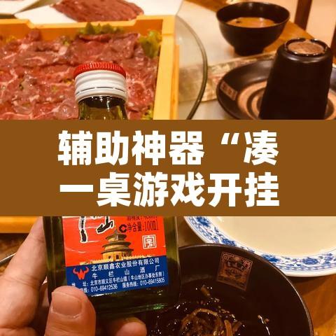 辅助神器“凑一桌游戏开挂器”其实确实有挂