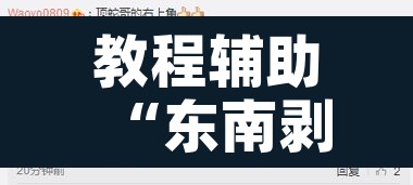 教程辅助“东南剥皮确实真的有挂”附辅助神器开挂脚本详细步骤