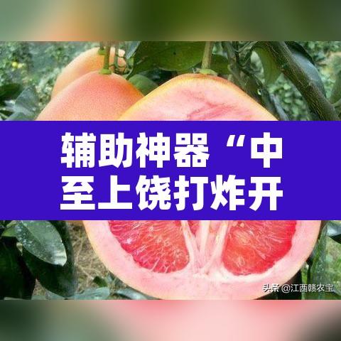 辅助神器“中至上饶打炸开挂教程”其实确实有挂
