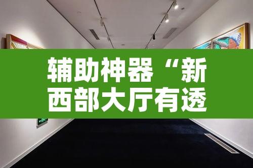 辅助神器“新西部大厅有透视挂”其实确实有挂